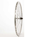 Wheel Shop, Rear 700C Wheel, 36H Silver Alloy Double Wall Alex G6000/ Silver Shimano FH-RM30 7spd QR Hub, DT Stainless Spokes