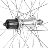 Wheel Shop, Rear 700C Wheel, 36H Silver Alloy Double Wall Alex G6000/ Silver Shimano FH-RM30 7spd QR Hub, DT Stainless Spokes