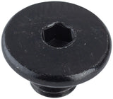 Shimano SLX BLM666 and Deore BLM596 Bleed Screw and ORing Bfit for XT