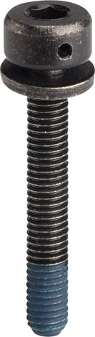 Shimano 31.8mm Disc Brake Caliper Fixing Bolt for 74mm Caliper on FlatMount