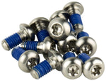 SRAM Titanium T25 Rotor Bolt Kit Silver Set of 12