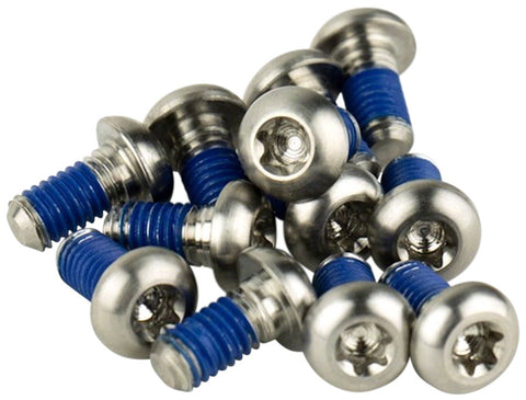 SRAM Titanium T25 Rotor Bolt Kit Silver Set of 12
