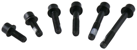 TRP Flat Mount Rear Caliper Mounting Bolt 22mm