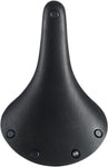 Brooks Cambium C19 All Weather Saddle Steel Black Men's