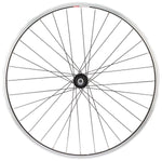 Sta-Tru Double Wall Rear Wheel - 24 Bolt-On3/8 x 135mm Freewheel Black