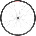 Sta-Tru Double Wall Front Wheel - 24 Bolt-On 3/8 x 100mm Black