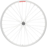 Sta-Tru Double Wall Front Wheel - 24 x 21 Bolt-On 3/8 x 100mm Silver